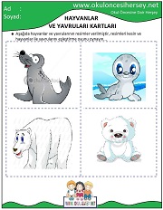 Hayvanlar ve Yavruları Eğitici Kartları